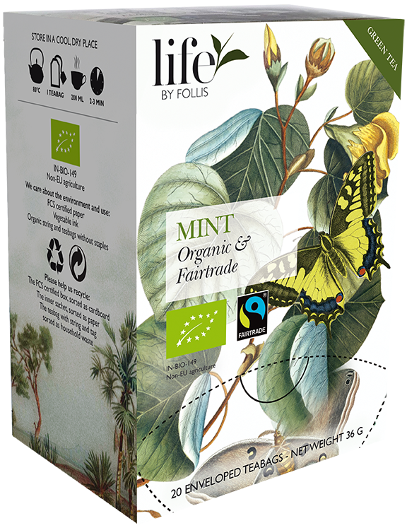 Mint Green tea Life by Follis 20 Teabags
