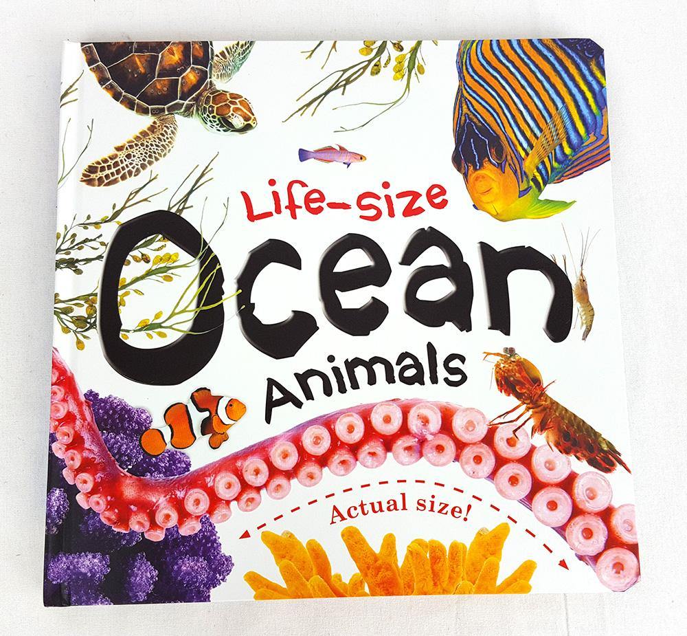 Life-Size Ocean Animals - Arabian Shopping Zone