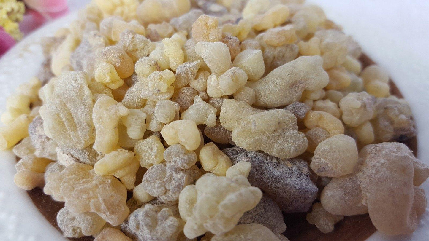 Organic Egypt Frankincense Resin Tears Gum Natural Incense 85g - Arabian Shopping Zone